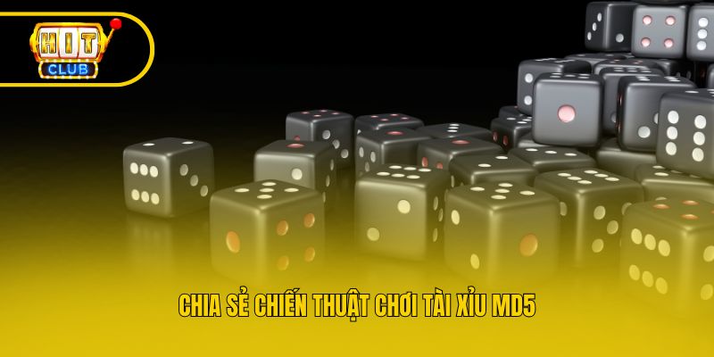 Chia sẻ chiến thuật chơi tài xỉu Md5