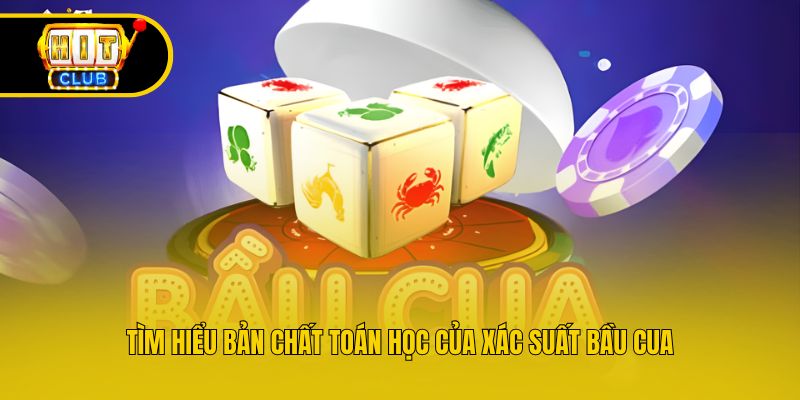 Tìm hiểu bản chất toán học của xác suất bầu cua