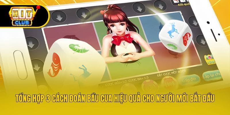 Tổng hợp 3 cách đoán bầu cua hiệu quả cho người mới bắt đầu
